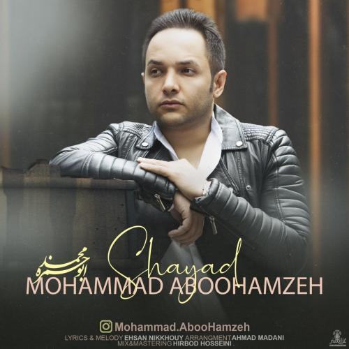 محمد ابوحمزه شاید
